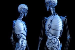 colonoscopy human body img